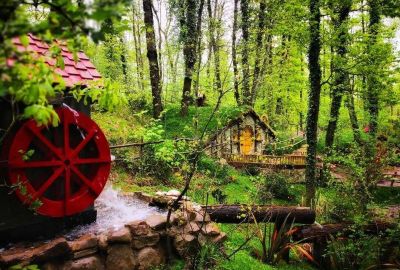 Günübirlik Ormanya, Sapanca, Maşukiye Turu