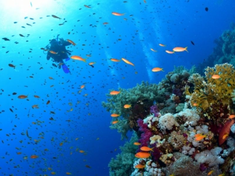 Dolu Dolu Piramitlerden Kızıl Denize Kahire & Sharm El Sheikh Turu Rotası