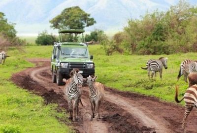Dolu Dolu Güney Afrika & Botsvana & Victoria Şelaleleri Turu Rotası