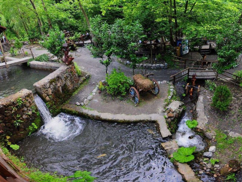 Günübirlik Ormanya, Sapanca, Maşukiye Turu