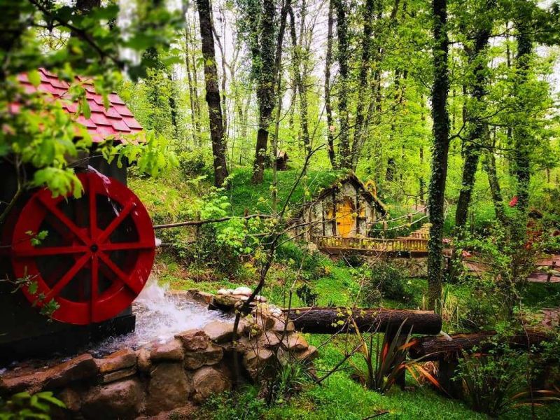 Günübirlik Ormanya, Sapanca, Maşukiye Turu
