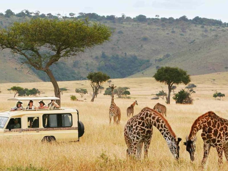 Dolu Dolu Güney Afrika & Botsvana & Victoria Şelaleleri Turu Rotası V3