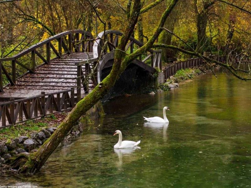Ankara dan Direkt Sefer ile Sırbistan Bosna Hersek Rotası Turu
