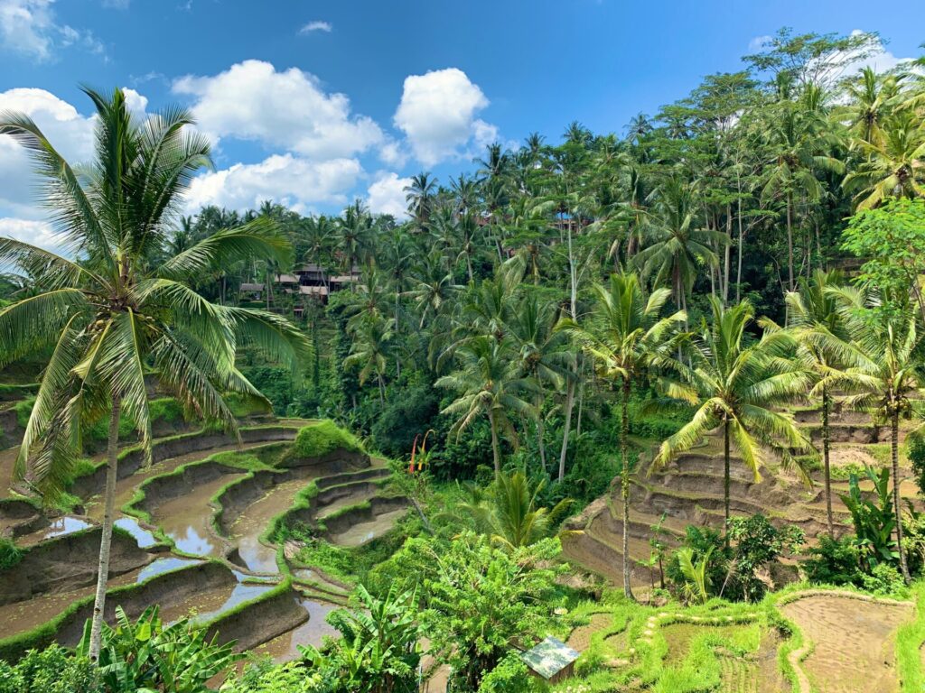 Dolu Dolu Harikalar Diyarı Bali - Ubud Turu Rotası