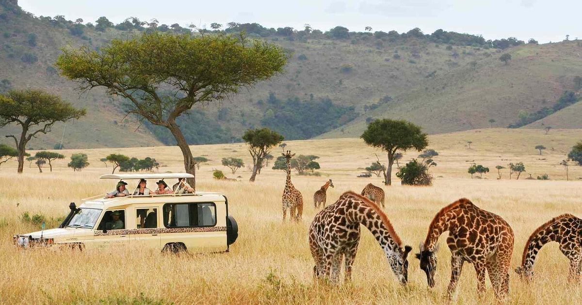 Dolu Dolu Güney Afrika Safari Turu Rotası (Cape Town - Johannesburg)