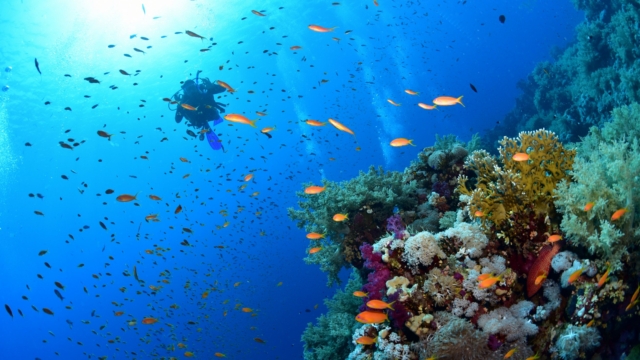 Dolu Dolu Piramitlerden Kızıl Denize Kahire & Sharm El Sheikh Turu Rotası